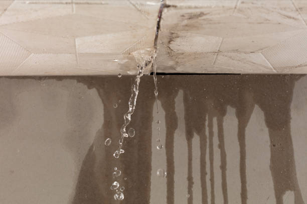 Professional Sewage Cleanup technician working in Cedar Grove, IN